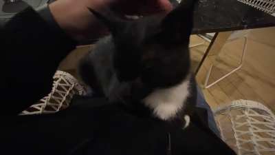 This guys came to my parents house 4 years ago… and stayed <3