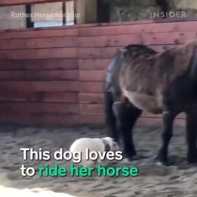 There is no way this is real, would you adopt him?