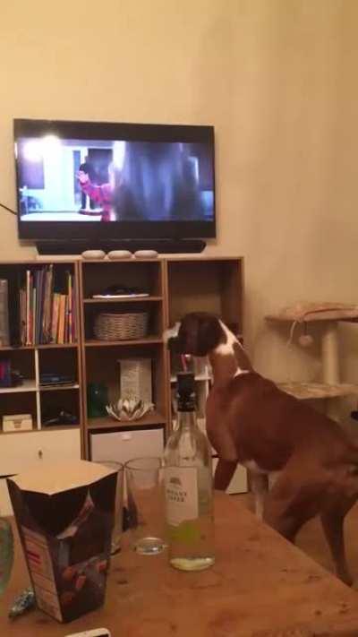 I think i know what she wants for her birthday 😂