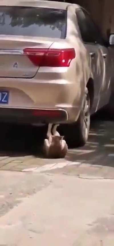 Six pack abs coming soon.