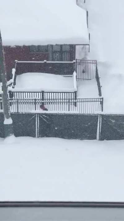 I looked out my window to check out the storm this morning and saw some dudes poking their fingers in things, as guys will do.