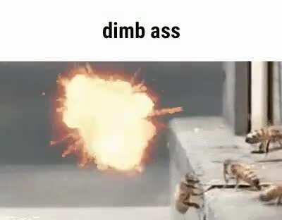 twom ad boob trailer #4