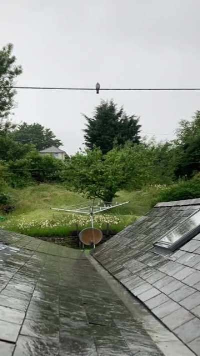 Devonshire countryside downpour 😌