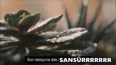 Kavga öncesi atışırken