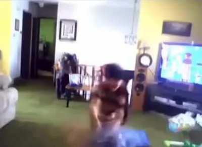 As you can see, 1 juvenile homo saipen attempting to neutralize another out of seer curiosity with an fascinating object.