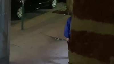 Obnoxiously loud woman gets told to shut up by NYPD