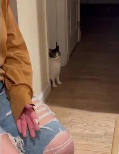 when you're the only introvert in the company