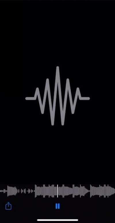 New carti snippet mixed🔥🔥🔥