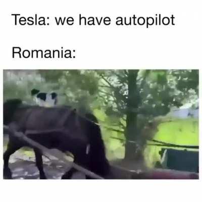 Based Romania