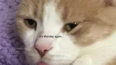 What my mind sounds like constantly [OC]