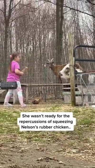 She wasn’t ready for Nelson’s reaction…