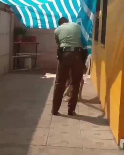 The trapped dog doesn't wait a bit to hug the rescuer after being freed..