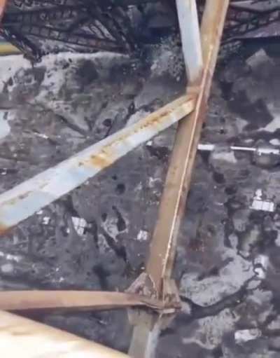 How do you even come up with this idea