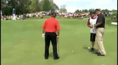 Show Me How To Do It.