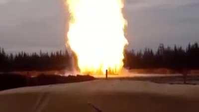 SCP 457 HAS BREACHED CONTAINMENT! THIS IS NOT A DRILL!