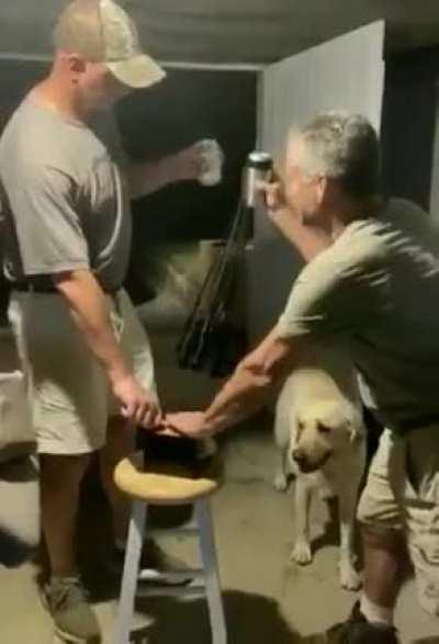 HMB while I have fun with a battery