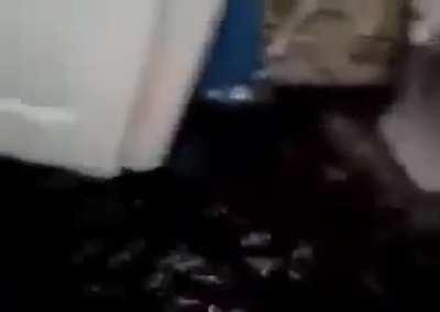 Blursed_bendy and the ink machine