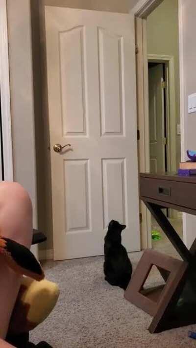 I just know he's gonna figure it out, he's got mad hoppps