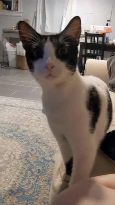 He heard a video of his own yelling