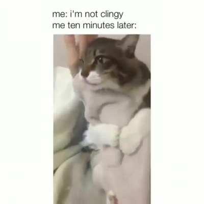 I'm not clingy