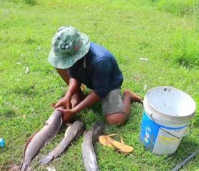 Ah the old Mentos &amp;amp; Coca Cola trick...