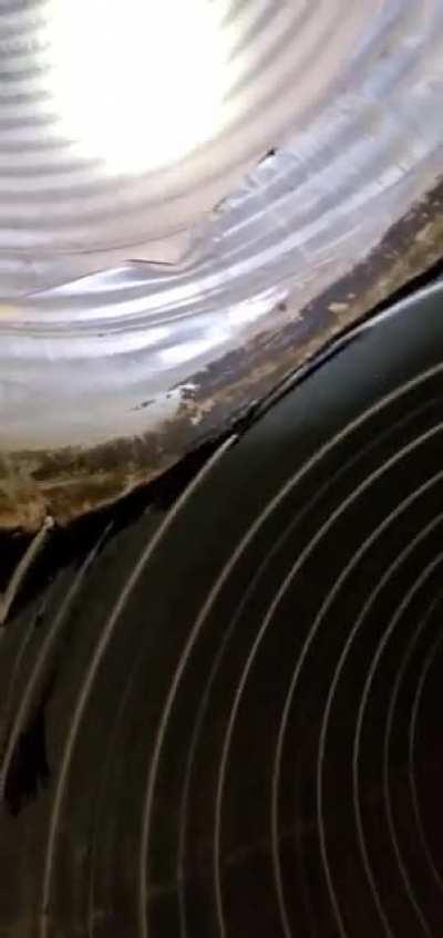 It's been like this for miles, an endless tunnel. I haven't seen a single possible turn, not one y, just a one way path in or out. But I've walked for days in both directions, I can't remember how I got in, and I'm not sure there's a way out. Every now an