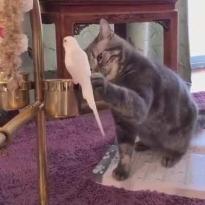 Внутренняя борьба...