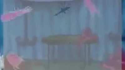 isis bad praise allah