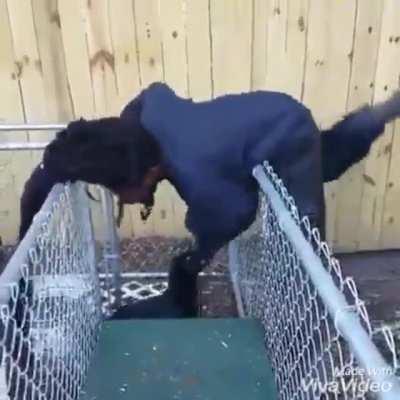 Today is not a good day