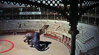 Fun fact: the only onscreen depiction of a dinosaur fighting an elephant is from the 1969 film “The Valley Of Gwangi.”