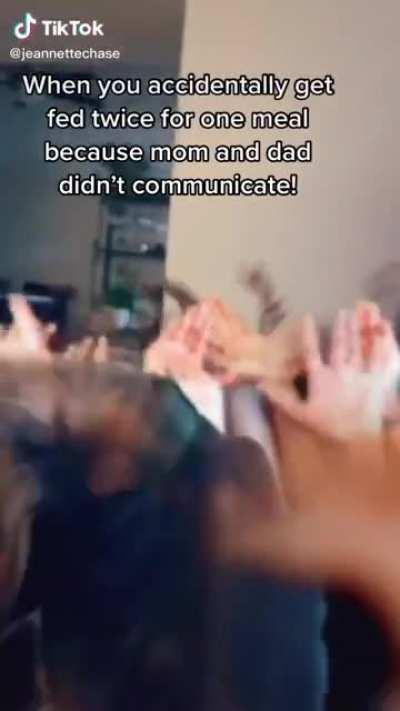 What a life, to be a dog