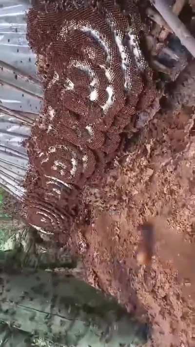 What are they doing?