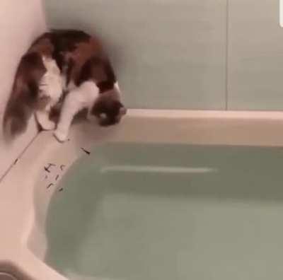 The risk he took was calculated, but man is he bad at math