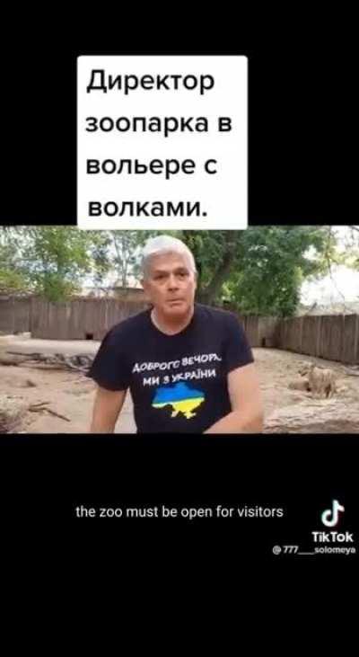 A Ukrainian zoo director is overrun by cuddly wolves