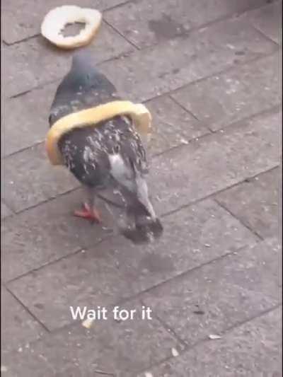 Spying and stealing. All just a day in the life of a drone.