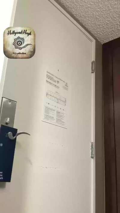 Topless pizza dare in a hotel