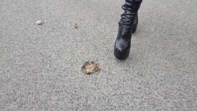 Boots crushing Snail