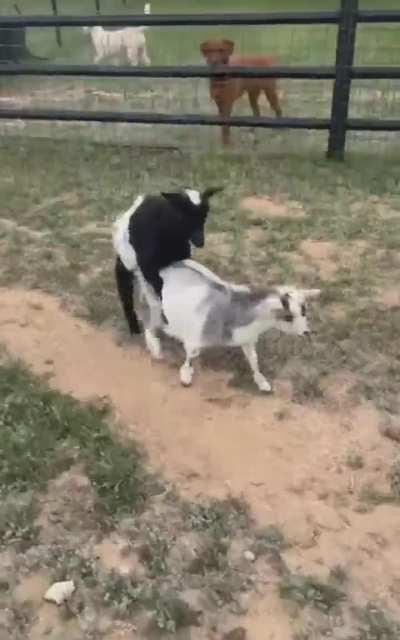 Her baby is crying for help