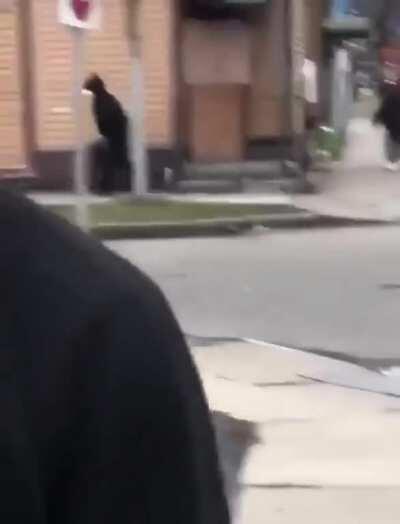 Knocked out and carried away like a shopping bag