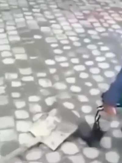 When the student becomes the master