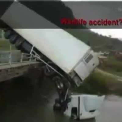 Wildlife accident.....