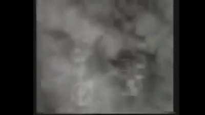 this arab coalition so neuro-impaired 💔