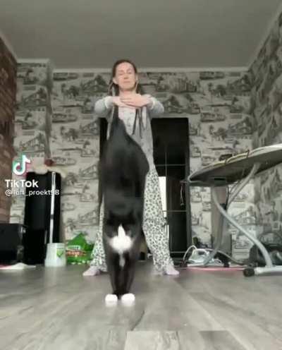 Nailed it like a boss