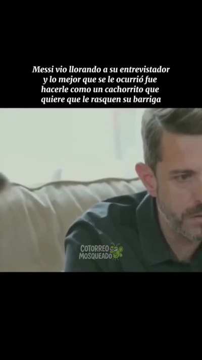 Messiento felí