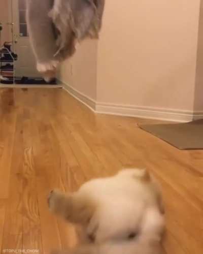 Give it your best shot.