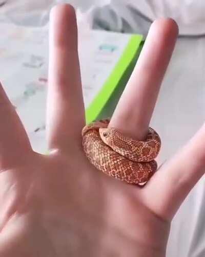 A ring not for wearing