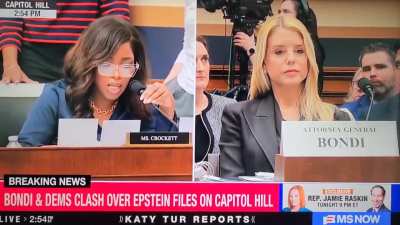 House Committee Clash: Rep. Jasmine Crockett confronts Pam Bondi with 'receipts' from Epstein-related documents during testimony.