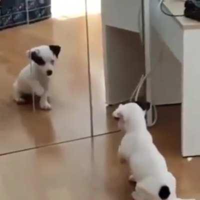 the first time in the mirror. 😅😅😅