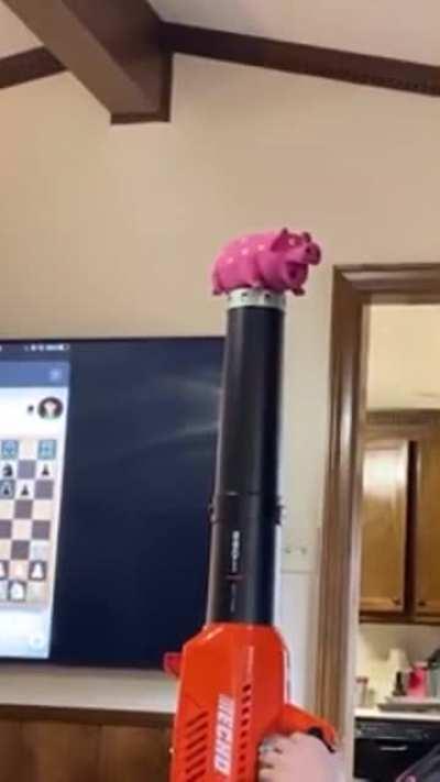 “Animals” cover shoot 1977 (colorized)