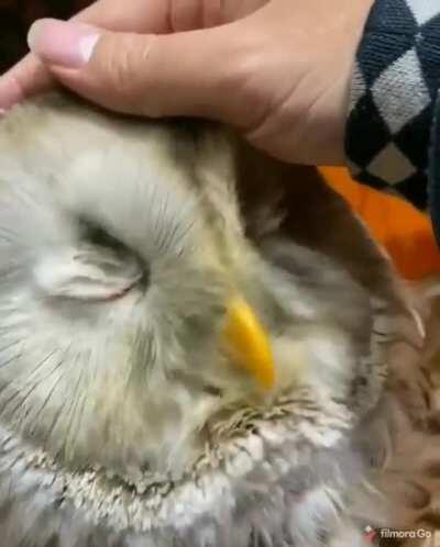 Oh that's nice, keep going